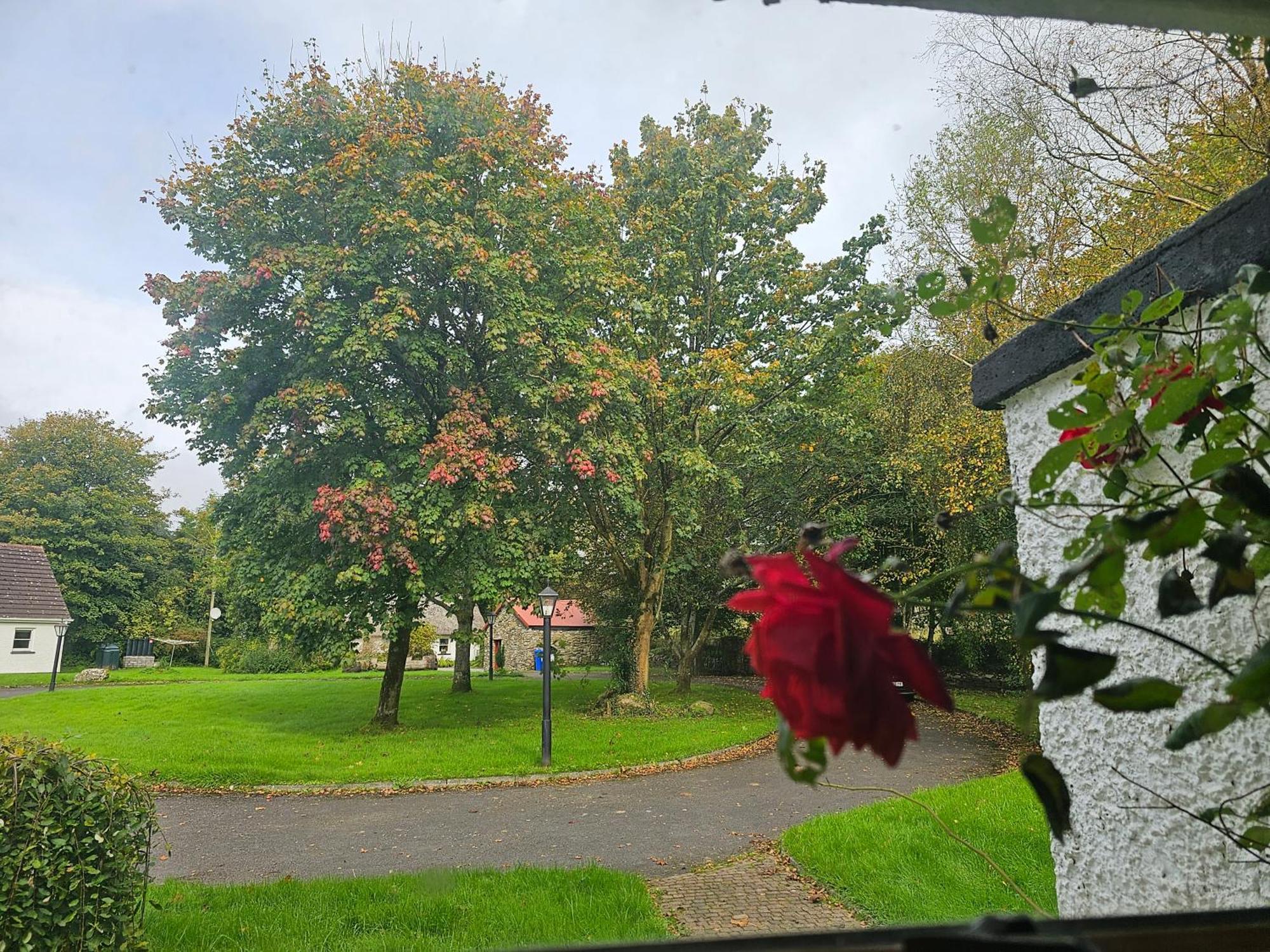 Longford Holiday Red Rose Self Catering Cottage Luaran gambar